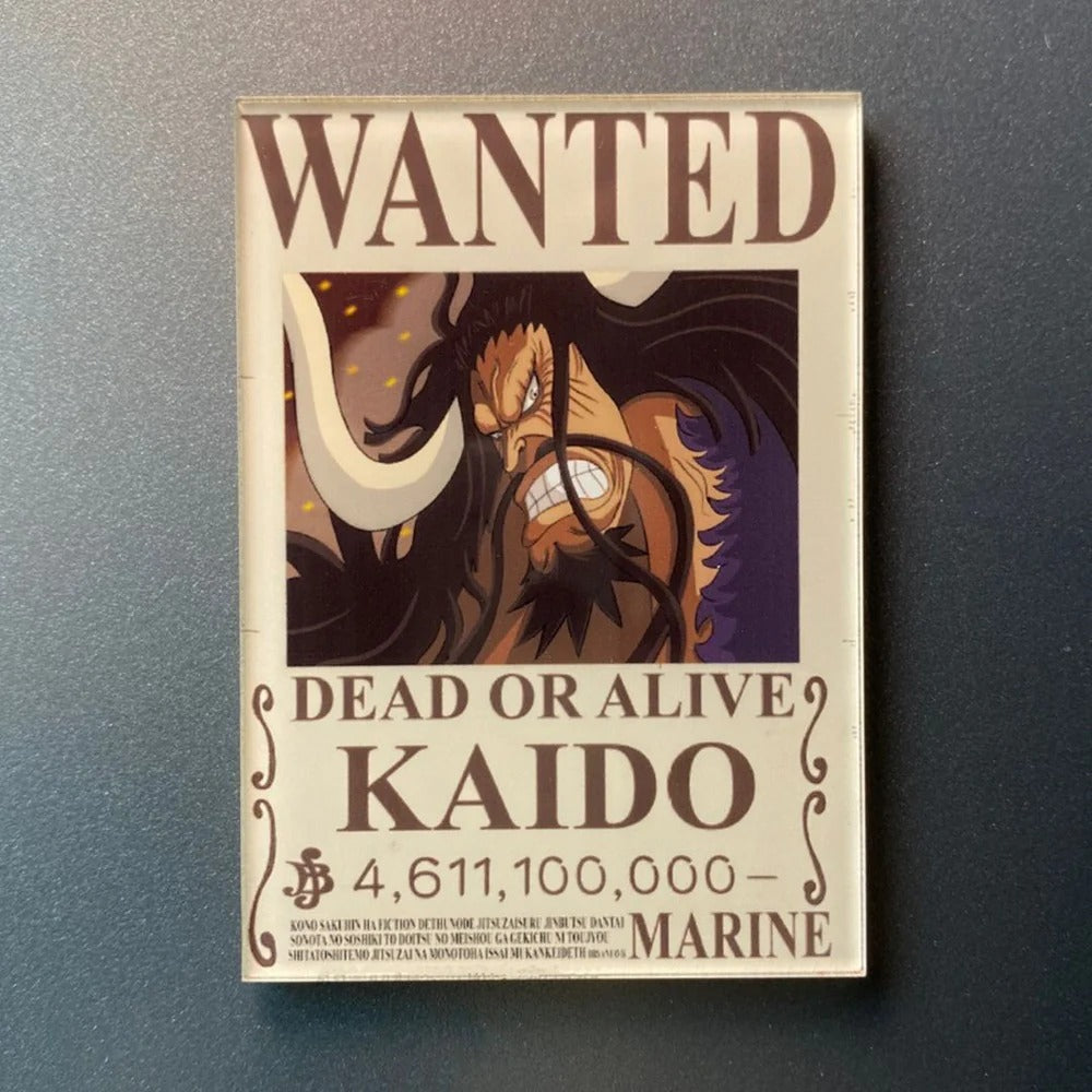 One Piece Bounty Fridge Magnet – Exclusive Anime Collectible