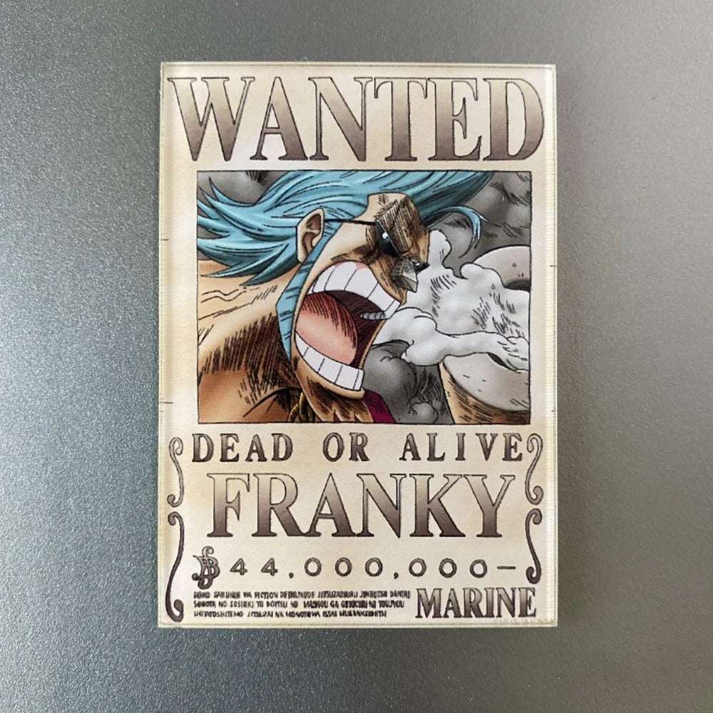 One Piece Bounty Fridge Magnet – Exclusive Anime Collectible