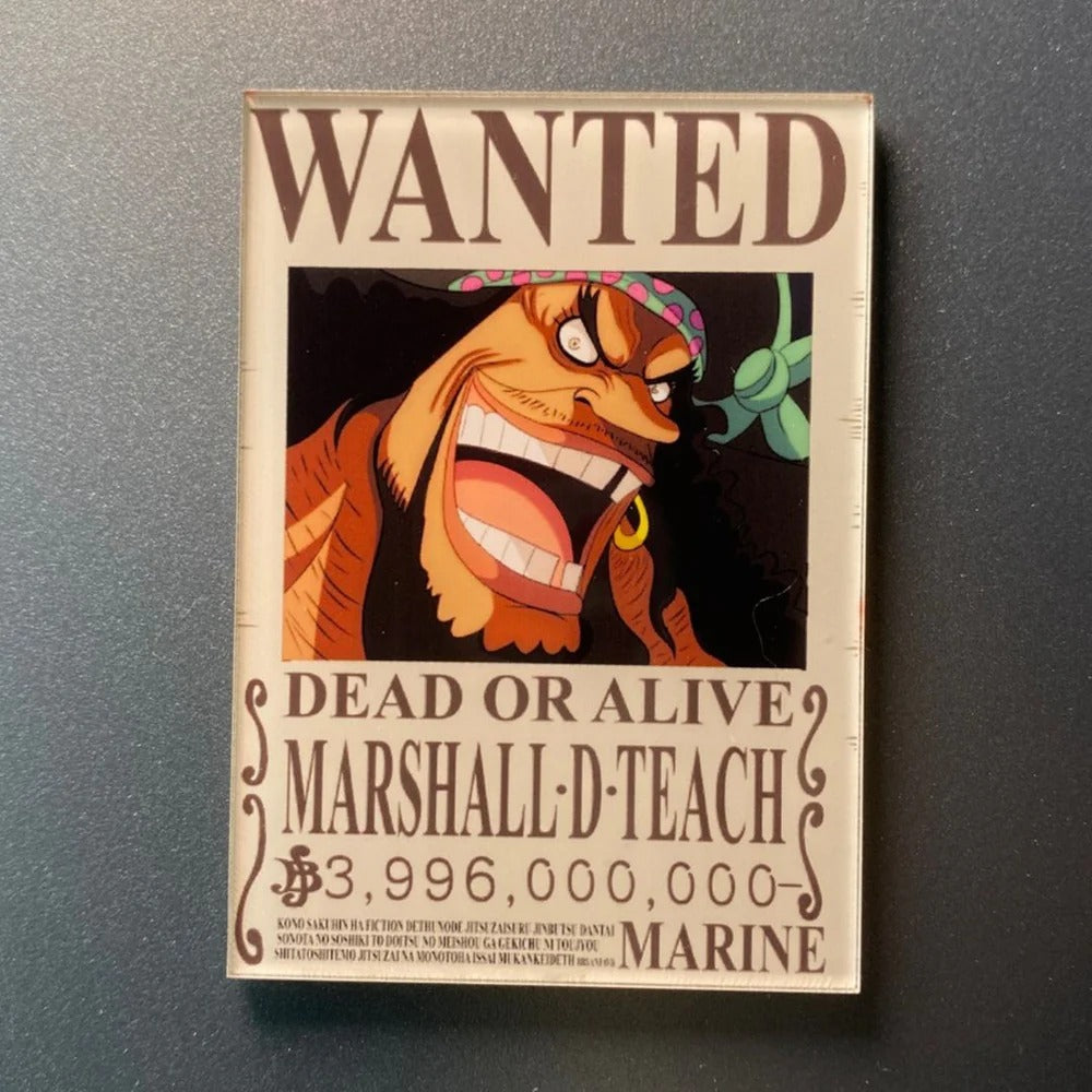 One Piece Bounty Fridge Magnet – Exclusive Anime Collectible