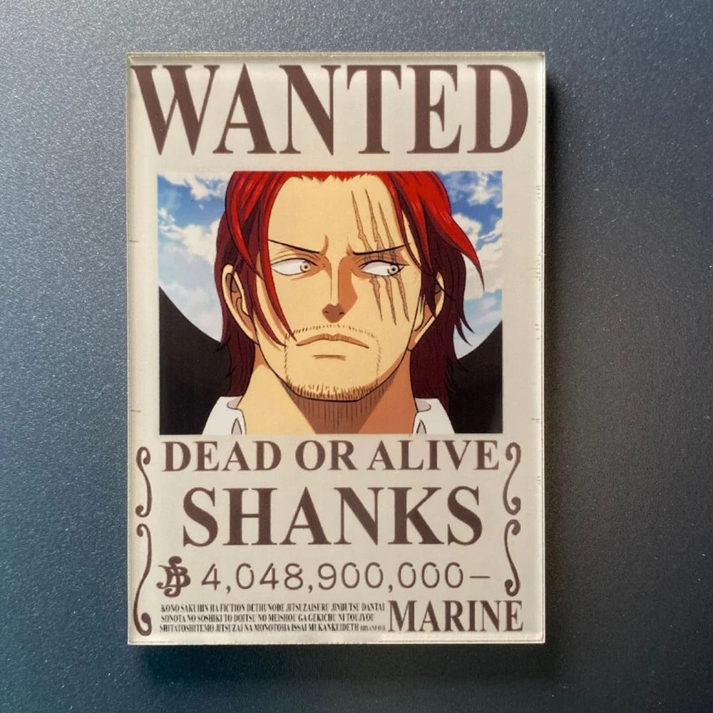 One Piece Bounty Fridge Magnet – Exclusive Anime Collectible